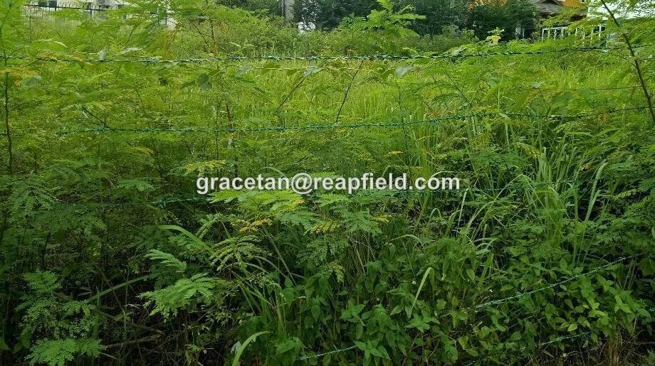 Land in Petaling Jaya, Selangor, Malaysia 1 - 17259026