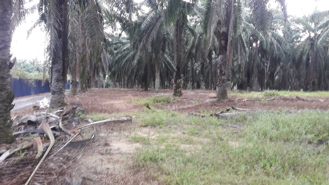 Land in Kuala Lumpur, Federal Territory of Kuala Lumpur, Malaysia 4 - 17259135
