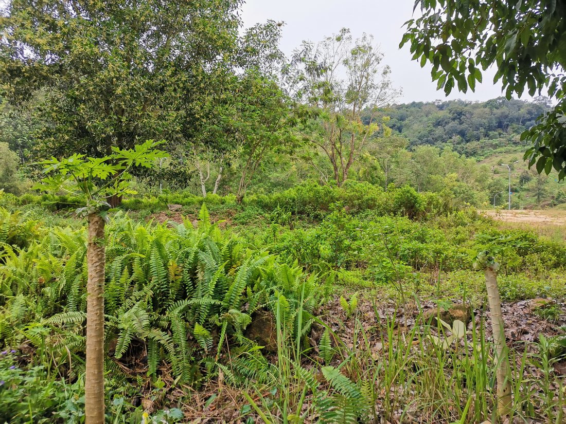 Land in Kuala Lumpur, Federal Territory of Kuala Lumpur, Malaysia 1 - 17258853