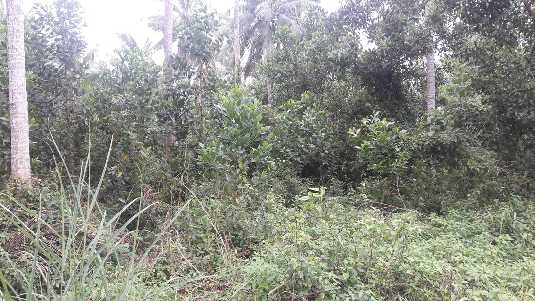 Land in Ampang Jaya, Selangor, Malaysia 5 - 17259133