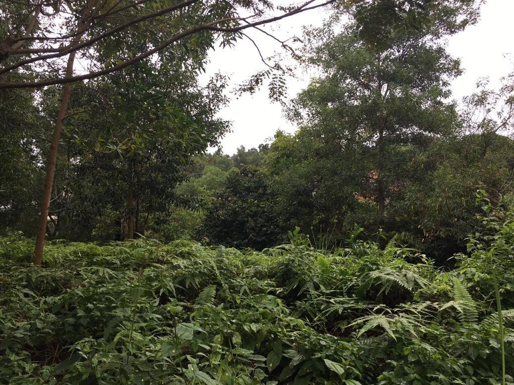 Land in Kuala Lumpur, Federal Territory of Kuala Lumpur, Malaysia 3 - 17258944