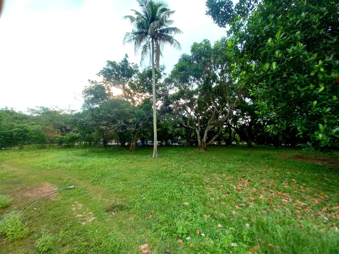 Land in Port Dickson, Negeri Sembilan, Malaysia 2 - 17258562