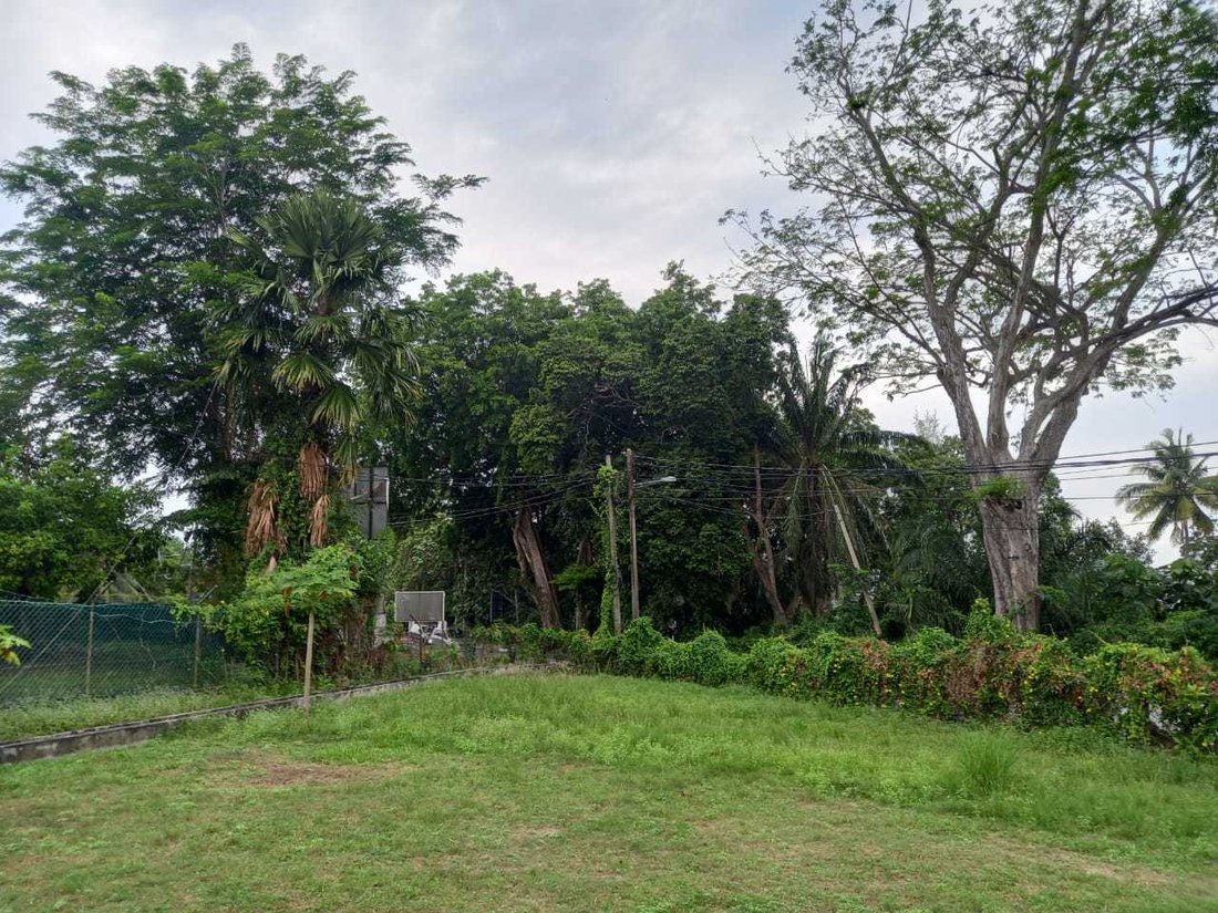 Land in Port Dickson, Negeri Sembilan, Malaysia 5 - 17258562