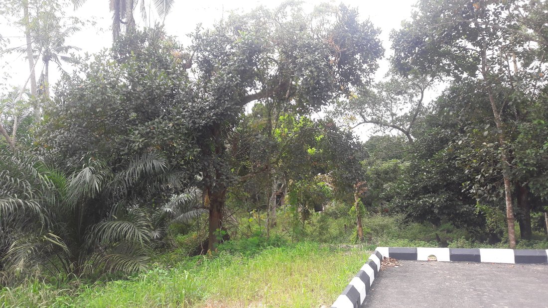 Land in Ampang Jaya, Selangor, Malaysia 2 - 17259133