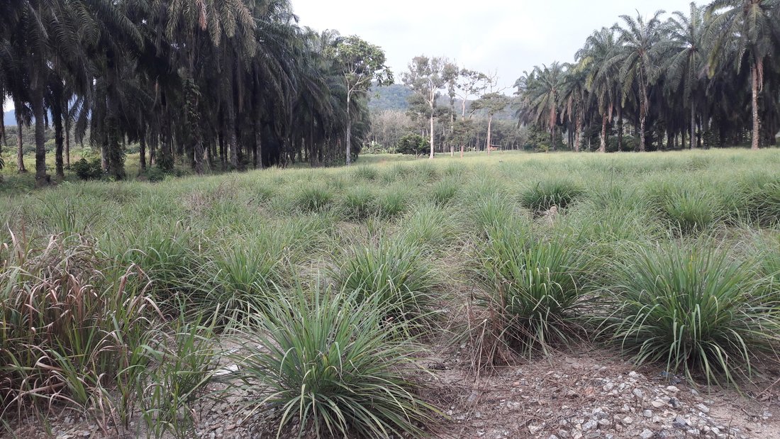 Land in Kuala Lumpur, Federal Territory of Kuala Lumpur, Malaysia 1 - 17259135