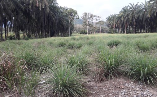 Land in Kuala Lumpur, Federal Territory of Kuala Lumpur, Malaysia 1