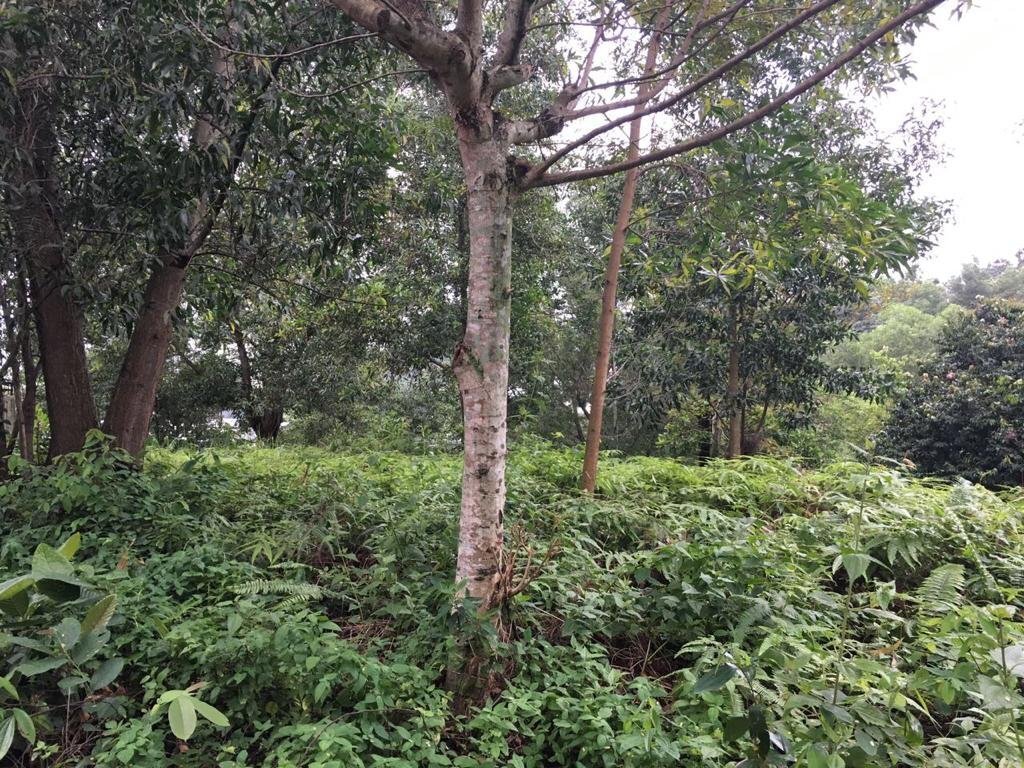 Land in Kuala Lumpur, Federal Territory of Kuala Lumpur, Malaysia 4 - 17258944