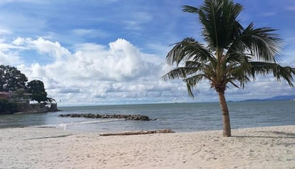 Land in Tanjung Bungah, Penang, Malaysia 5 - 17258889