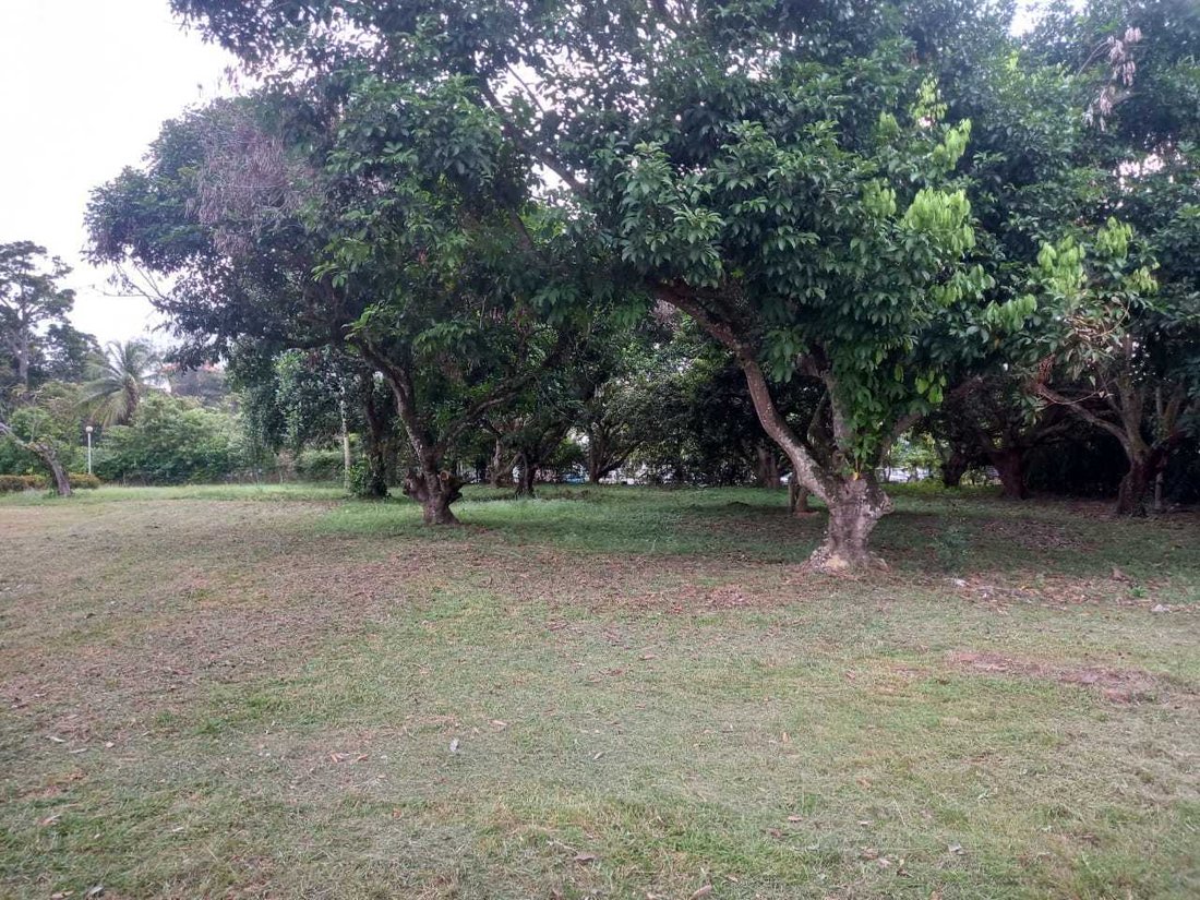 House in Port Dickson, Negeri Sembilan, Malaysia 3 - 17258552
