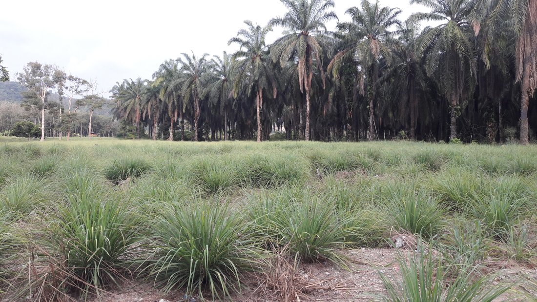 Land in Kuala Lumpur, Federal Territory of Kuala Lumpur, Malaysia 3 - 17259135