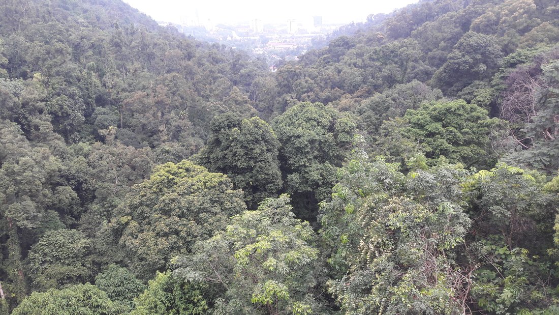 House in Kuala Lumpur, Federal Territory of Kuala Lumpur, Malaysia 5 - 17258886