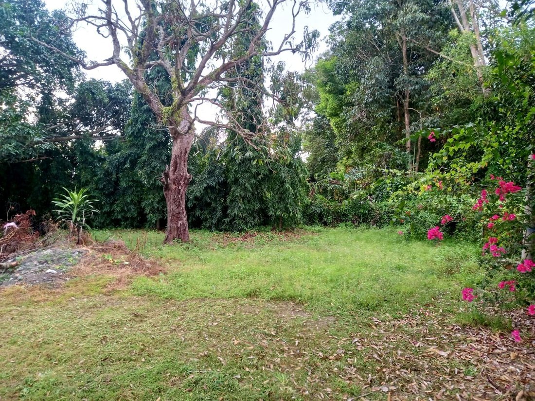 House in Port Dickson, Negeri Sembilan, Malaysia 2 - 17258552