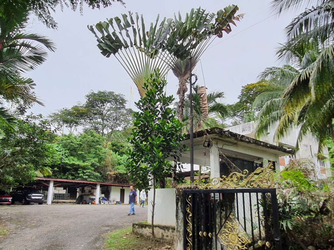 House in Shah Alam, Selangor, Malaysia 2 - 17258191