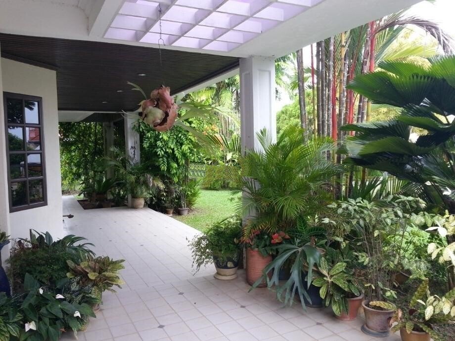 House in George Town, Penang, Malaysia 3 - 17258694