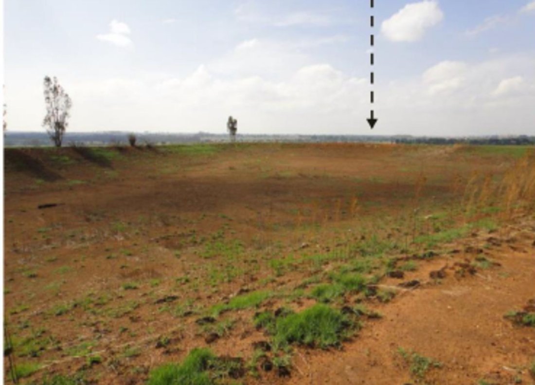 Farm Ranch in Johannesburg, Gauteng, South Africa 1 - 17258161
