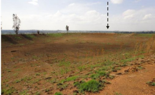 Farm Ranch in Braamfontein, Gauteng, South Africa 1
