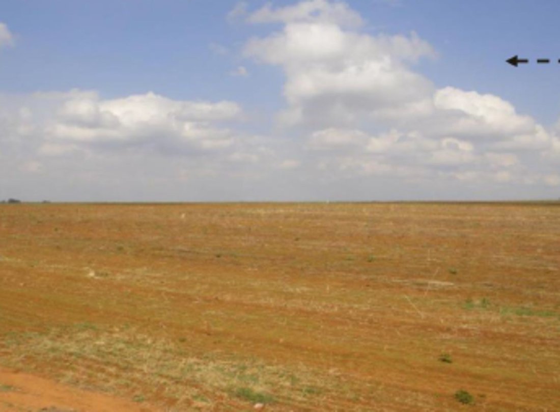 Farm Ranch in Johannesburg, Gauteng, South Africa 2 - 17258161