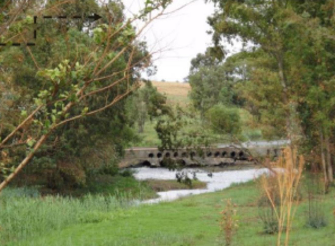 Farm Ranch in Johannesburg, Gauteng, South Africa 4 - 17258161