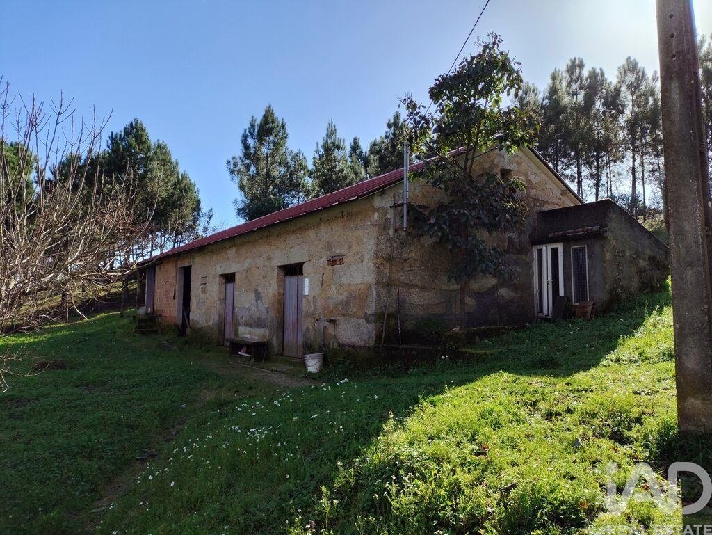 Farm Ranch in Midoes, Coimbra District, Portugal 4 - 17258458