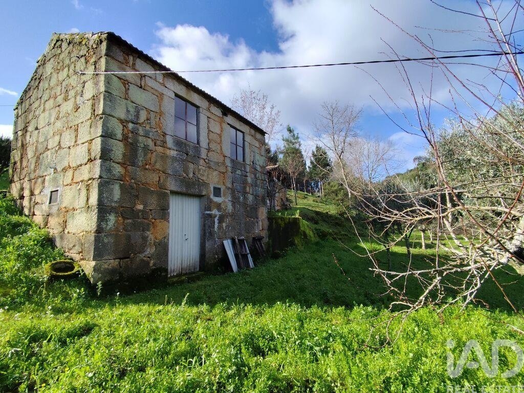 Farm Ranch in Midoes, Coimbra District, Portugal 3 - 17258458