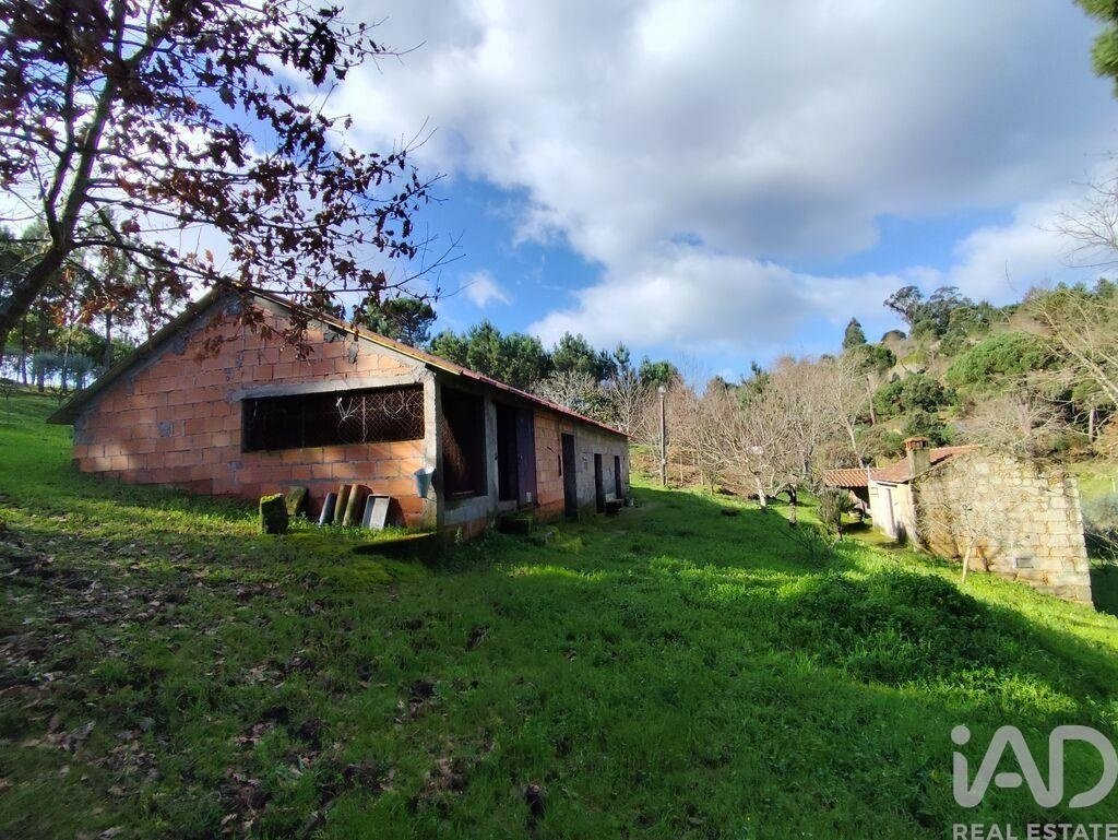Farm Ranch in Midoes, Coimbra District, Portugal 5 - 17258458