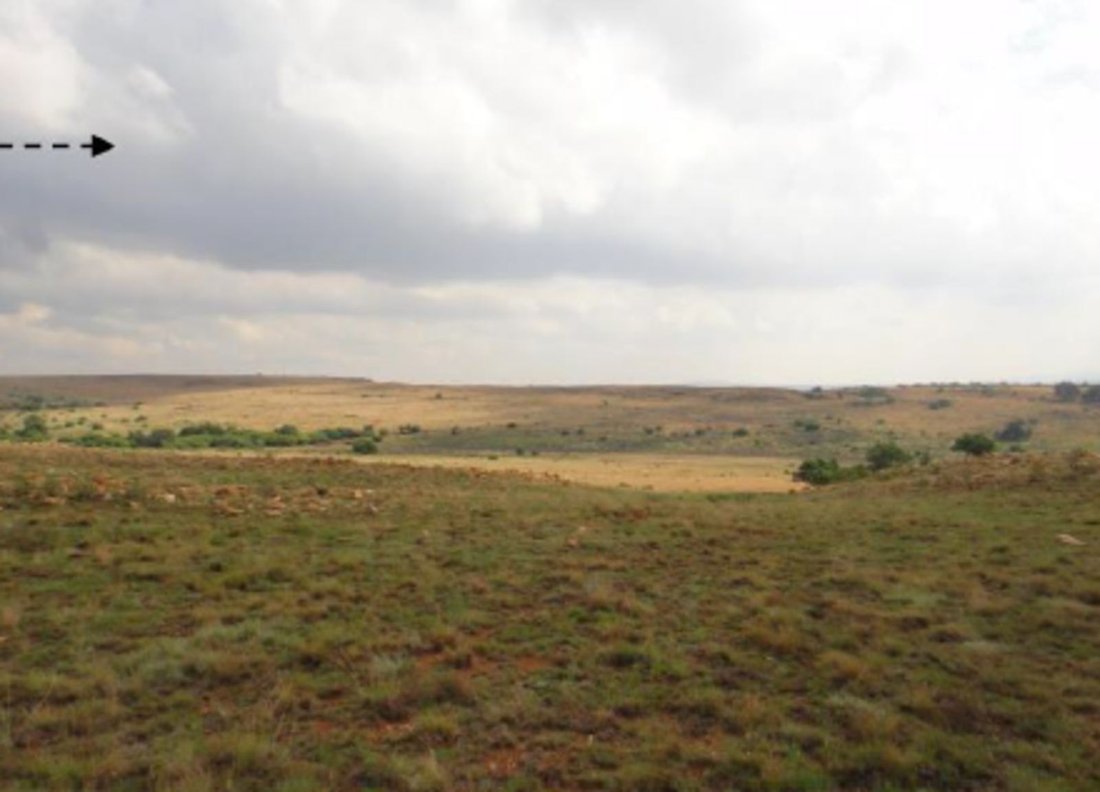 Farm Ranch in Johannesburg, Gauteng, South Africa 3 - 17258161