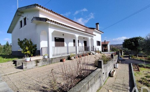 Land in Midoes, Coimbra District, Portugal 1