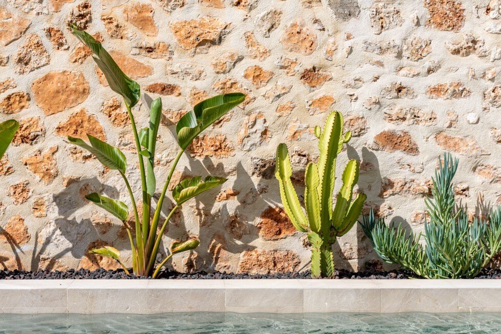 House in Santa Maria del Cami, Balearic Islands, Spain 2 - 17264215