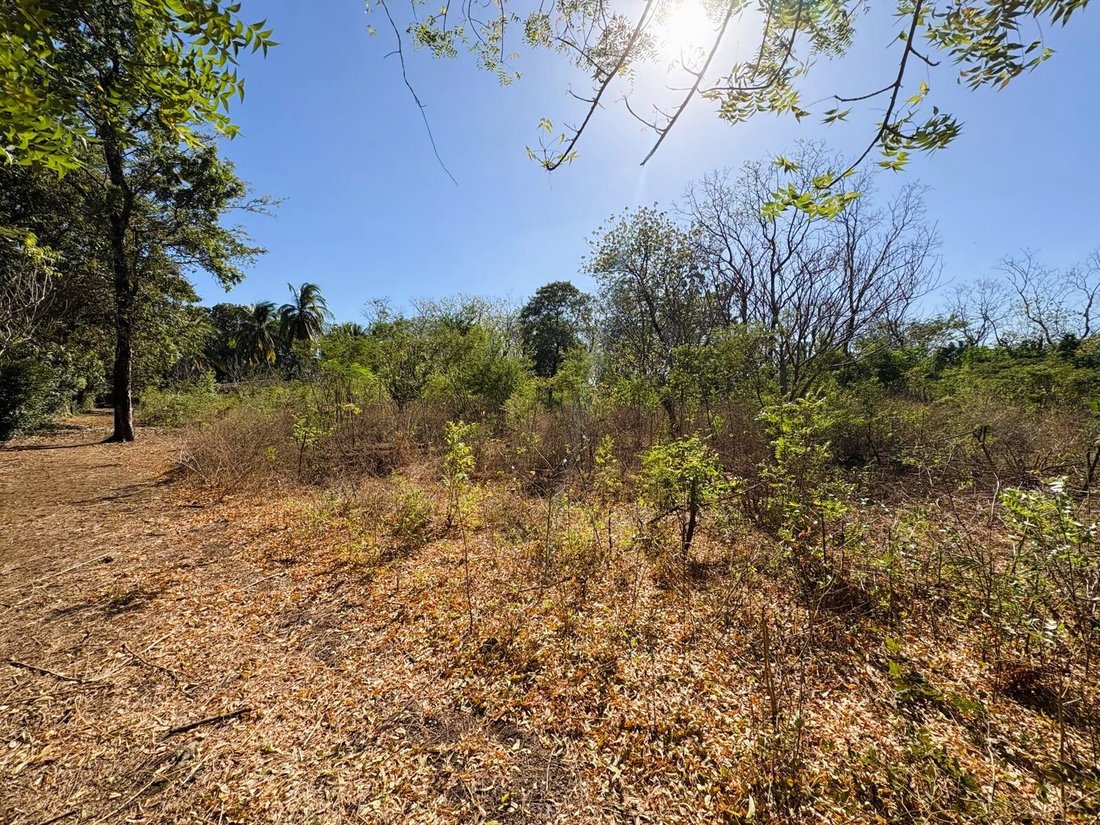 Terreno a Managua, Dipartimento di Managua, Nicaragua 4 - 17259713