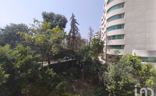 Apartment in Mexico City, Mexico 1