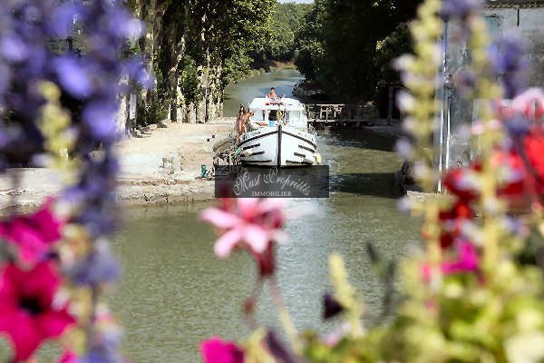 Estate in Ecarts, Narbonne, France 4 - 16334118