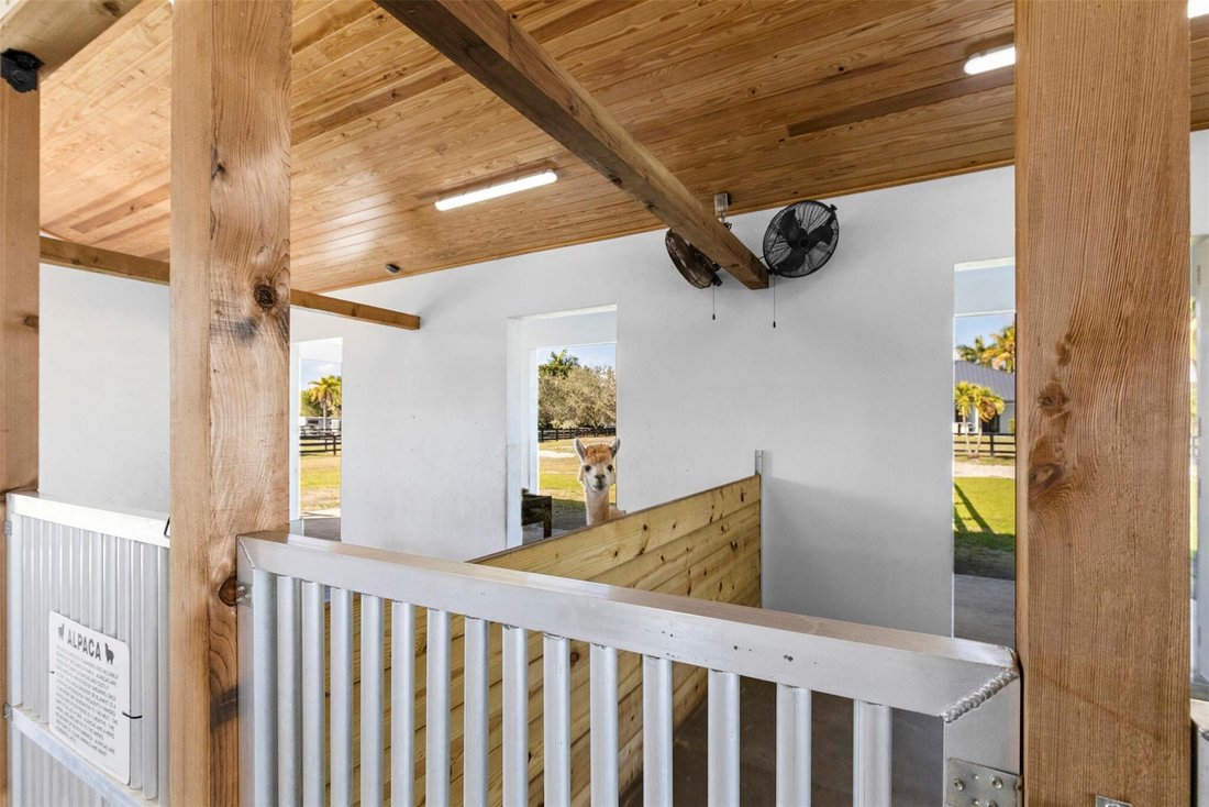 House in Wellington, Florida, United States 3 - 17263770