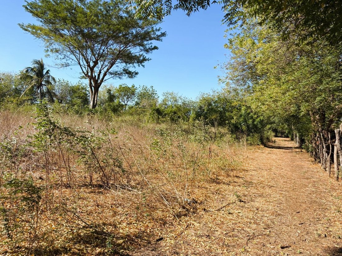 Terreno a Managua, Dipartimento di Managua, Nicaragua 5 - 17259713
