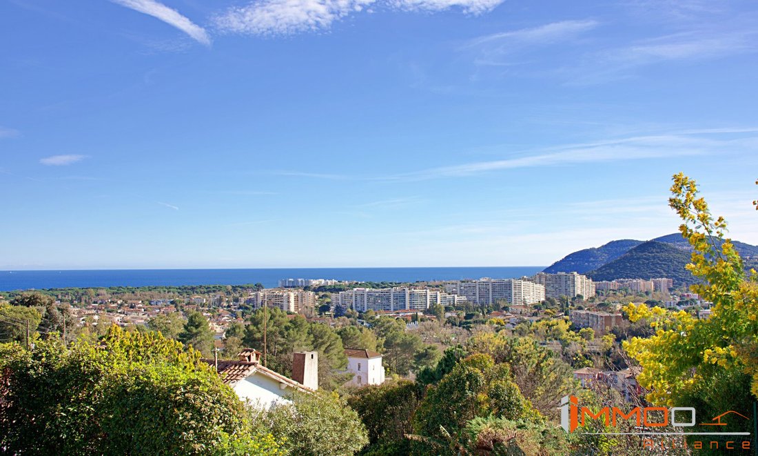 Villa in Mandelieu-la-Napoule, Provence-Alpes-Côte d'Azur, France 2 - 16490700