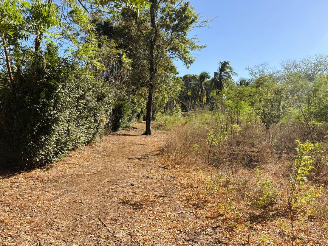 Terreno a Managua, Dipartimento di Managua, Nicaragua 3 - 17259713