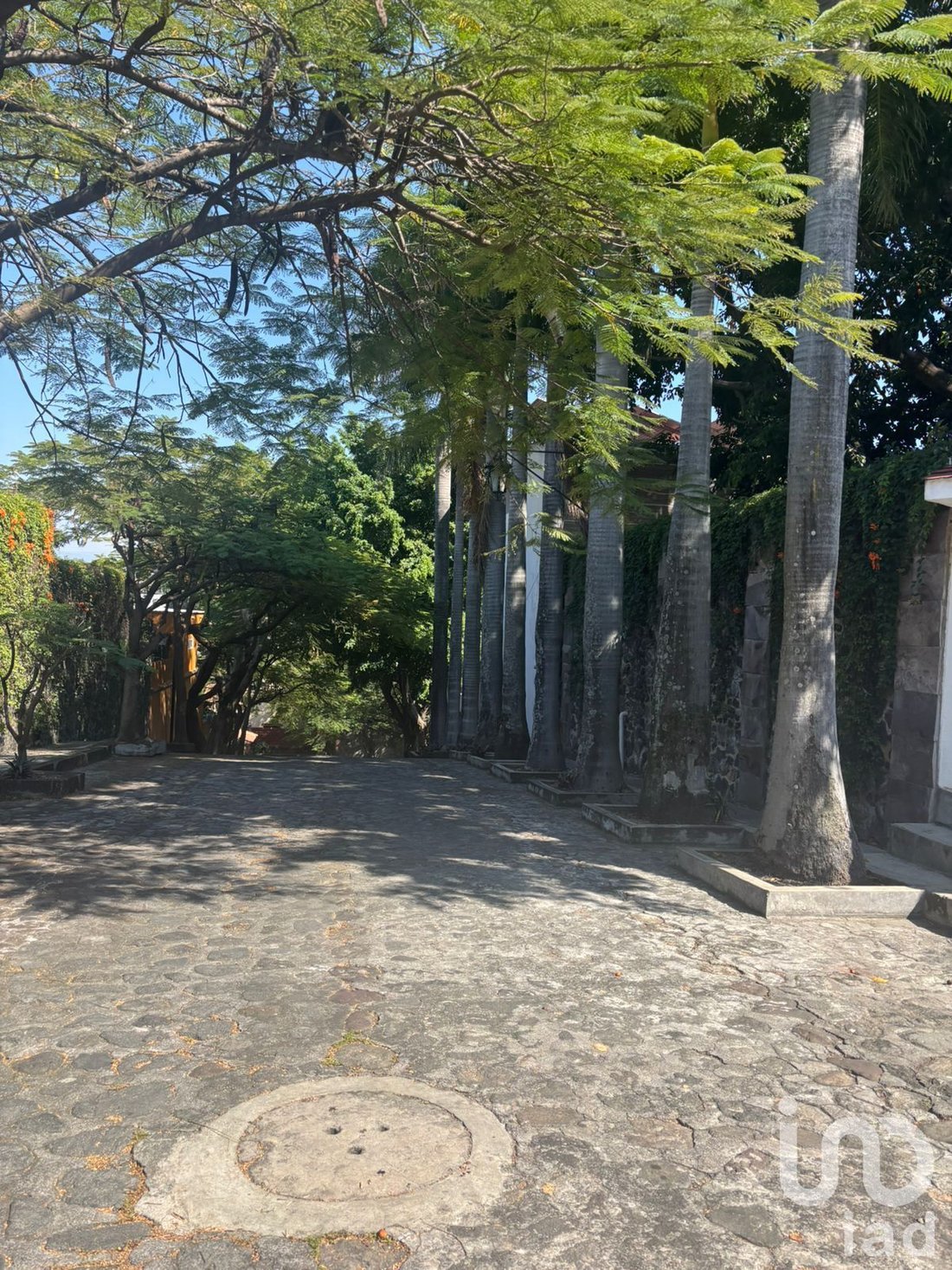House in Cuernavaca, Morelos, Mexico 5 - 17260295