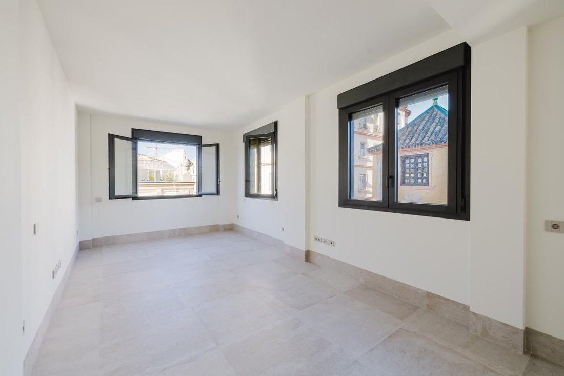 Apartment in Centro, Malaga, Spain 1 - 17259425