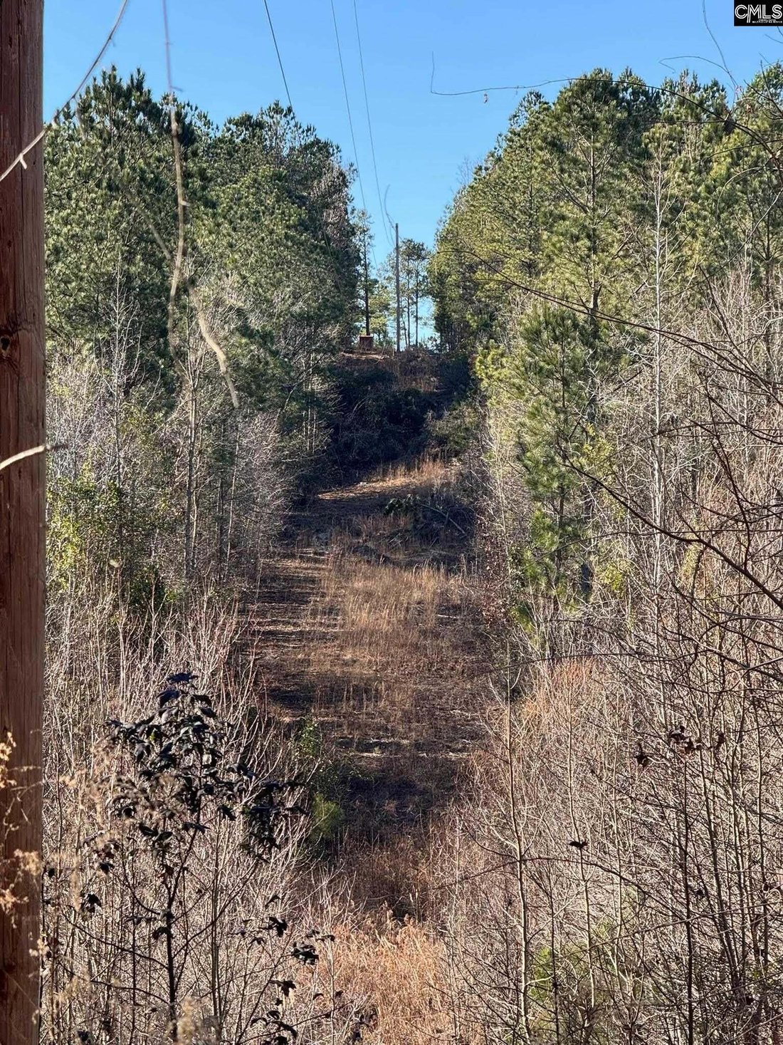 Land in Swansea, South Carolina, United States 4 - 17260992