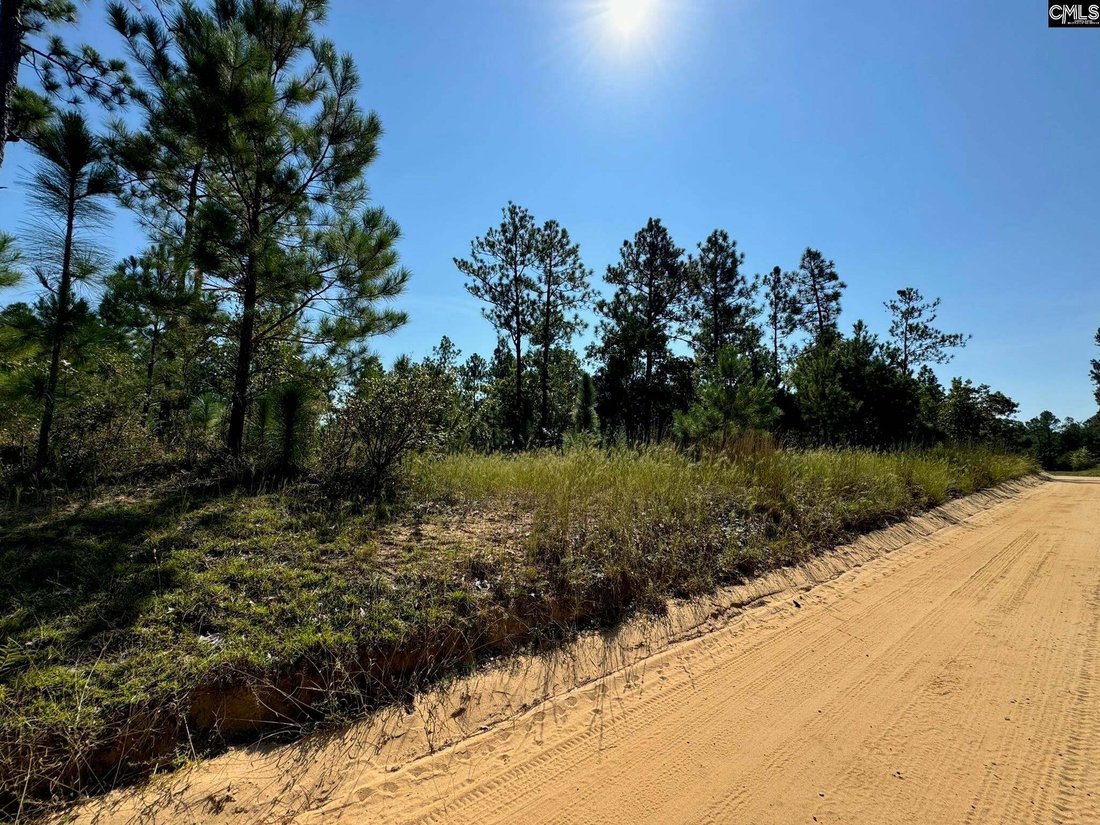 Land in Swansea, South Carolina, United States 1 - 17260992
