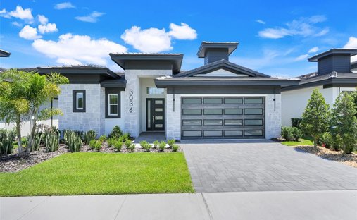 House in Davenport, Florida, United States 1