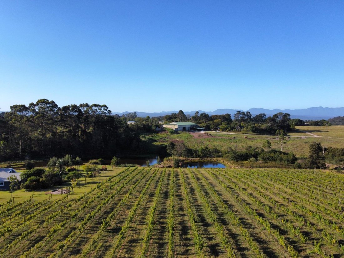 Farm Ranch in Bitou Local Municipality, Western Cape, South Africa 1 - 17064596