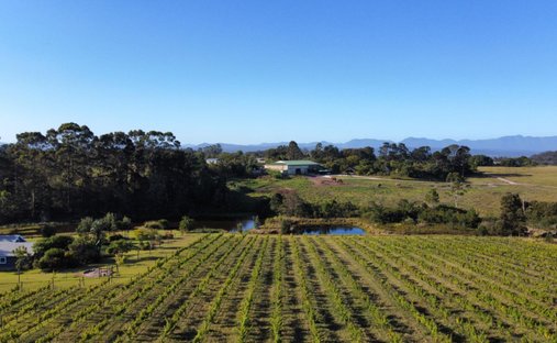 Farm Ranch in Kwanokuthula, Western Cape, South Africa 1