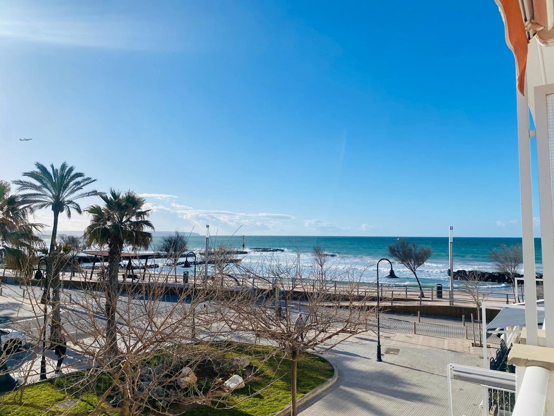 Apartment in Palma, Balearic Islands, Spain 1 - 17262381