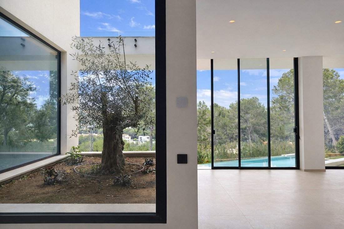 Rotes Velles, Calvia, Balearic Islands 5 - 17263234