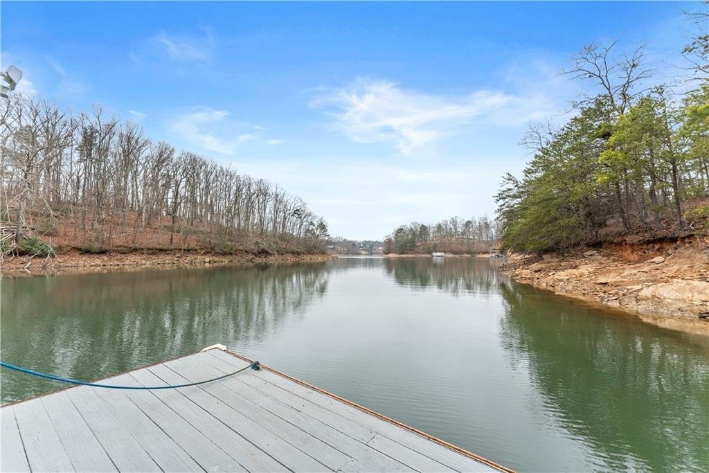 House in Flowery Branch, Georgia, United States 5 - 17233109