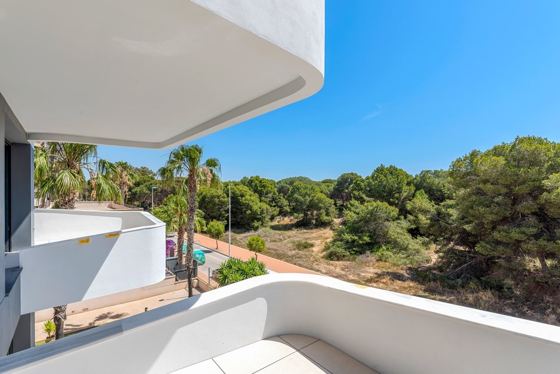 Apartment in Guardamar del Segura, Valencian Community, Spain 2 - 17260758
