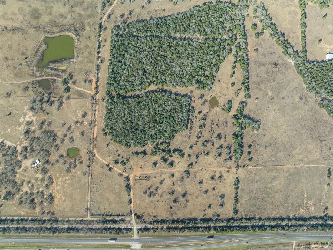 House in Giddings, Texas, United States 5 - 17259464