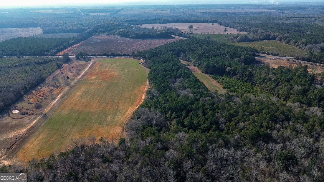 Farm Ranch in Plains, Georgia, United States 3 - 17261688