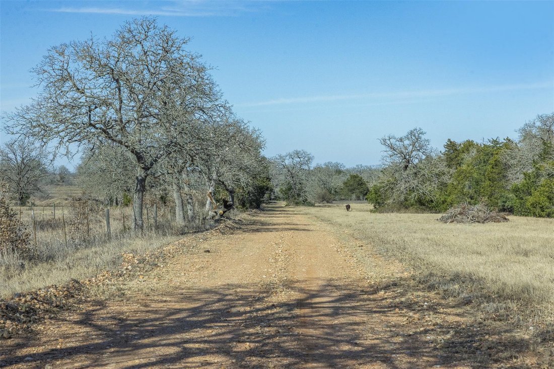House in Giddings, Texas, United States 2 - 17259464