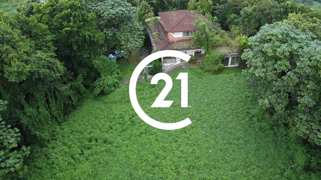 House in Le Robert, La Trinité, Martinique 4 - 16700051